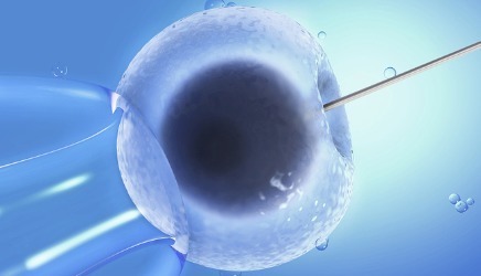 林主任